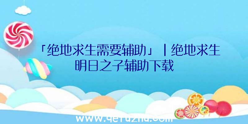 「绝地求生需要辅助」|绝地求生明日之子辅助下载